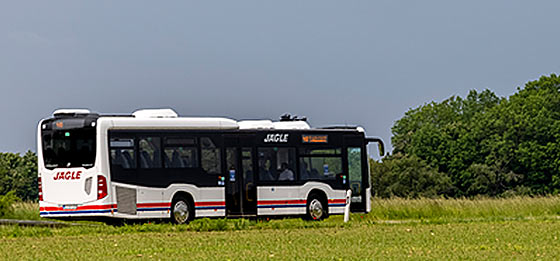 Überlandlinien - Jägle Bus